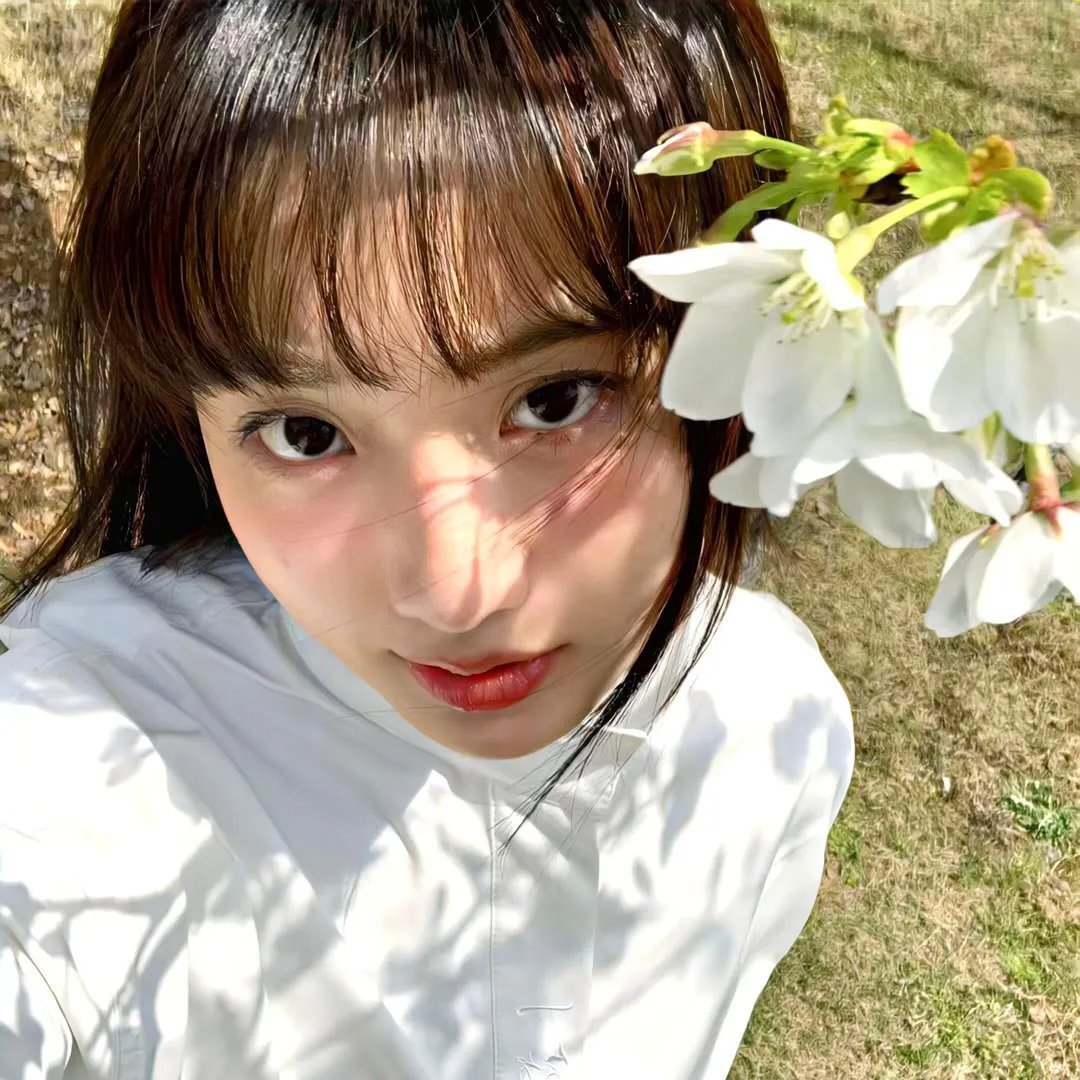 小鸡