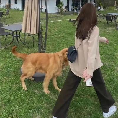 没事没事